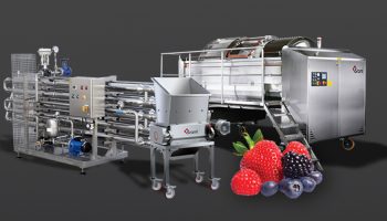 sraml-berry-fruit-processing