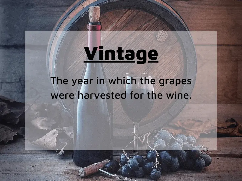 What Does 'Vintage' Mean in Wine?