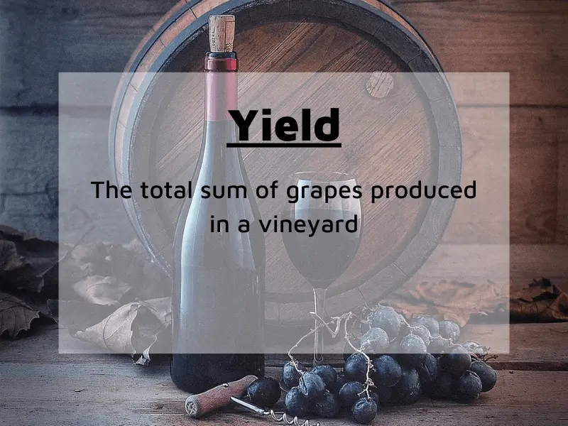 yield measurement