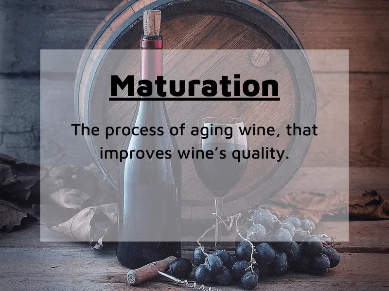 maturation process