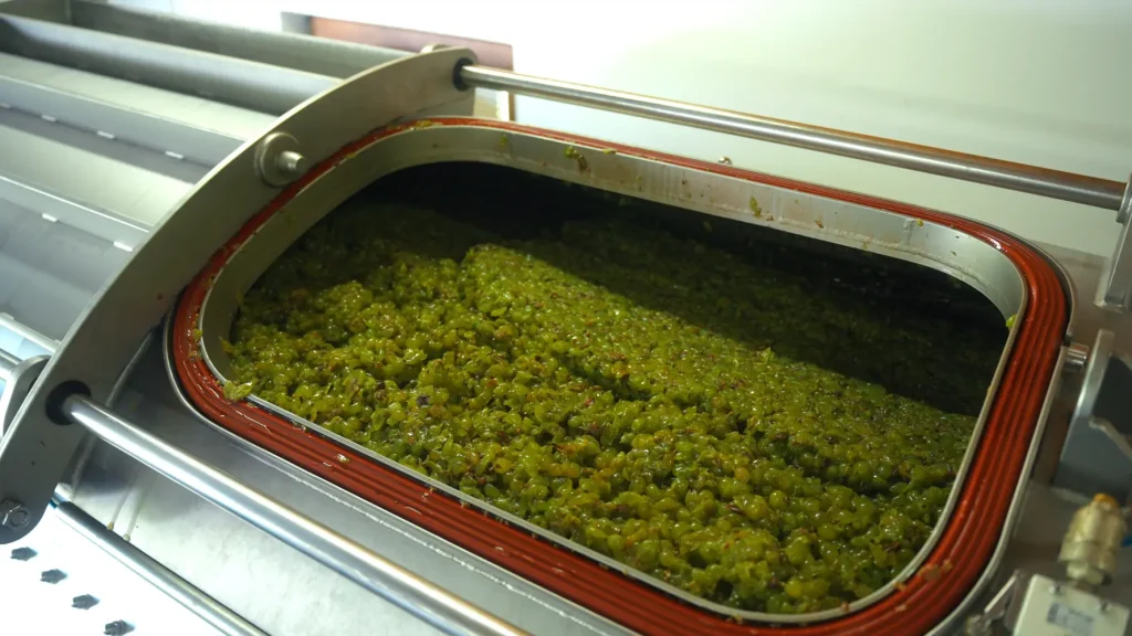 Albiana Estate - Wine press in production
