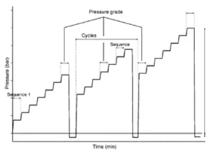 Sequence program for pressing (G. Reynolds, 2010)