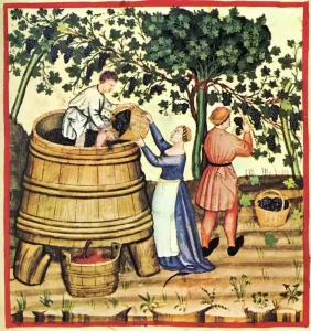 Pressing grapes with feet