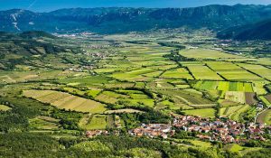The Vipava Valley in Slovenia where SRAML is located. (www.vipavskadolina.si / Photo credit: Marijan Močivnik)